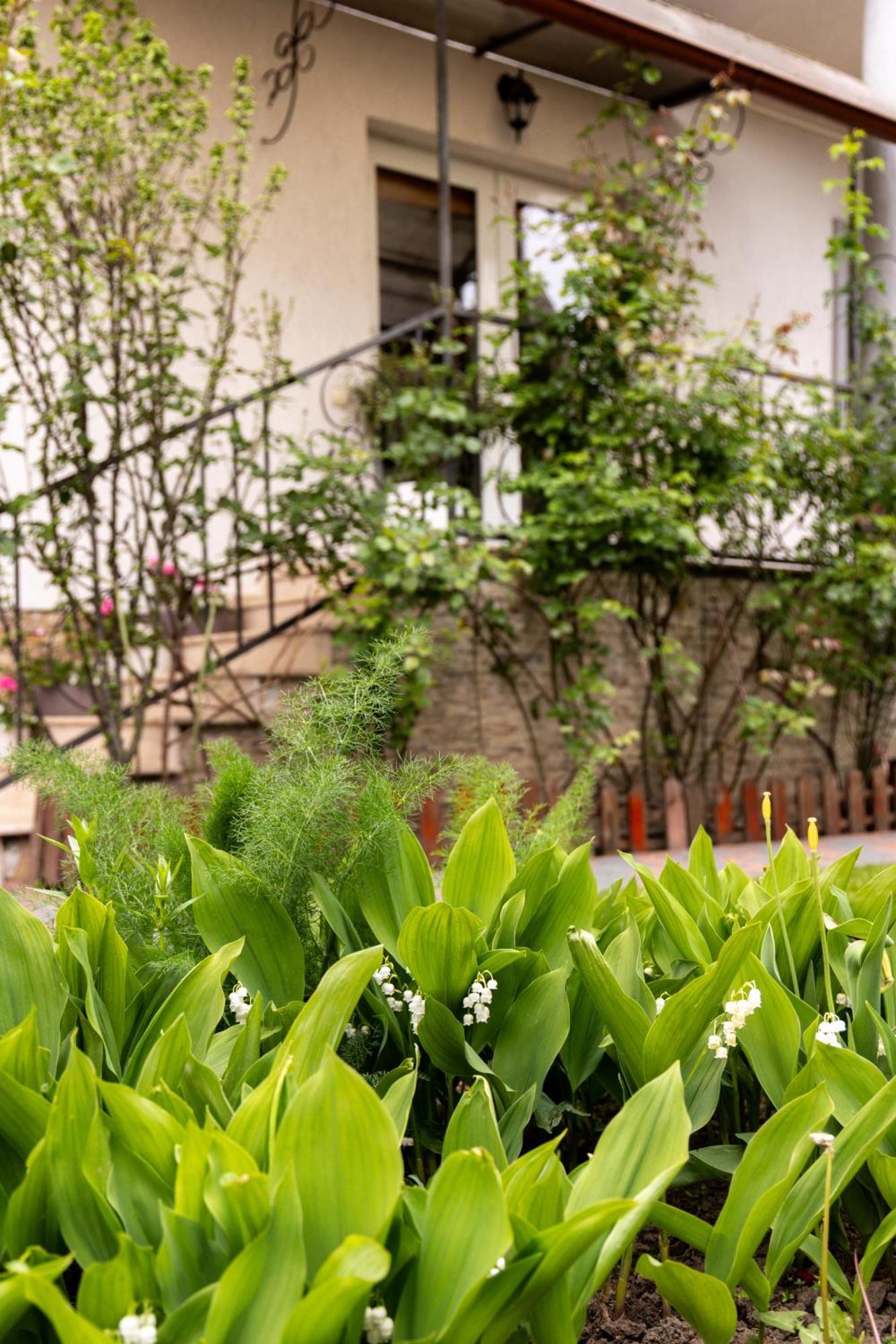 Green Garden Avrig Exterior foto